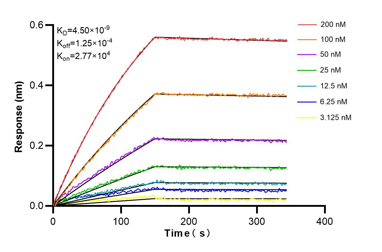Affinity and Kinetic Characterization of 86178-1-RR