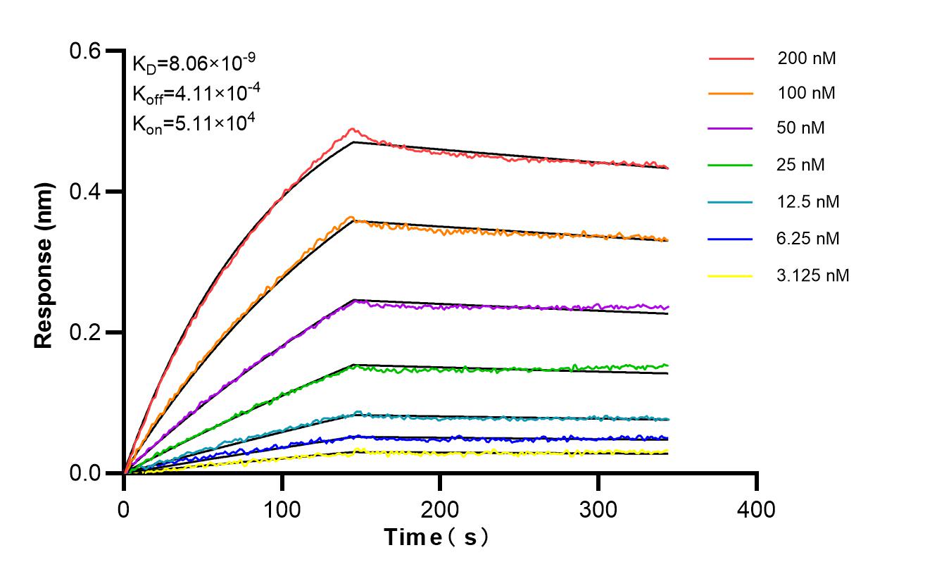Affinity and Kinetic Characterization of 86180-5-RR Affinity and Kinetic Characterization of 86180-5-RR