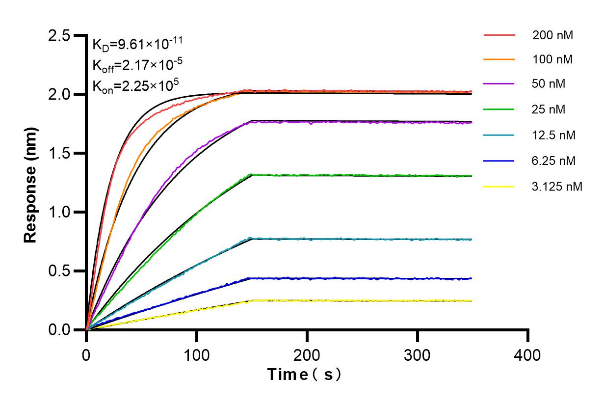 Affinity and Kinetic Characterization of 86186-1-RR