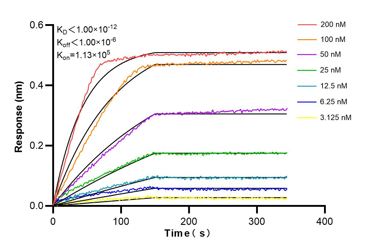 Affinity and Kinetic Characterization of 86190-2-RR