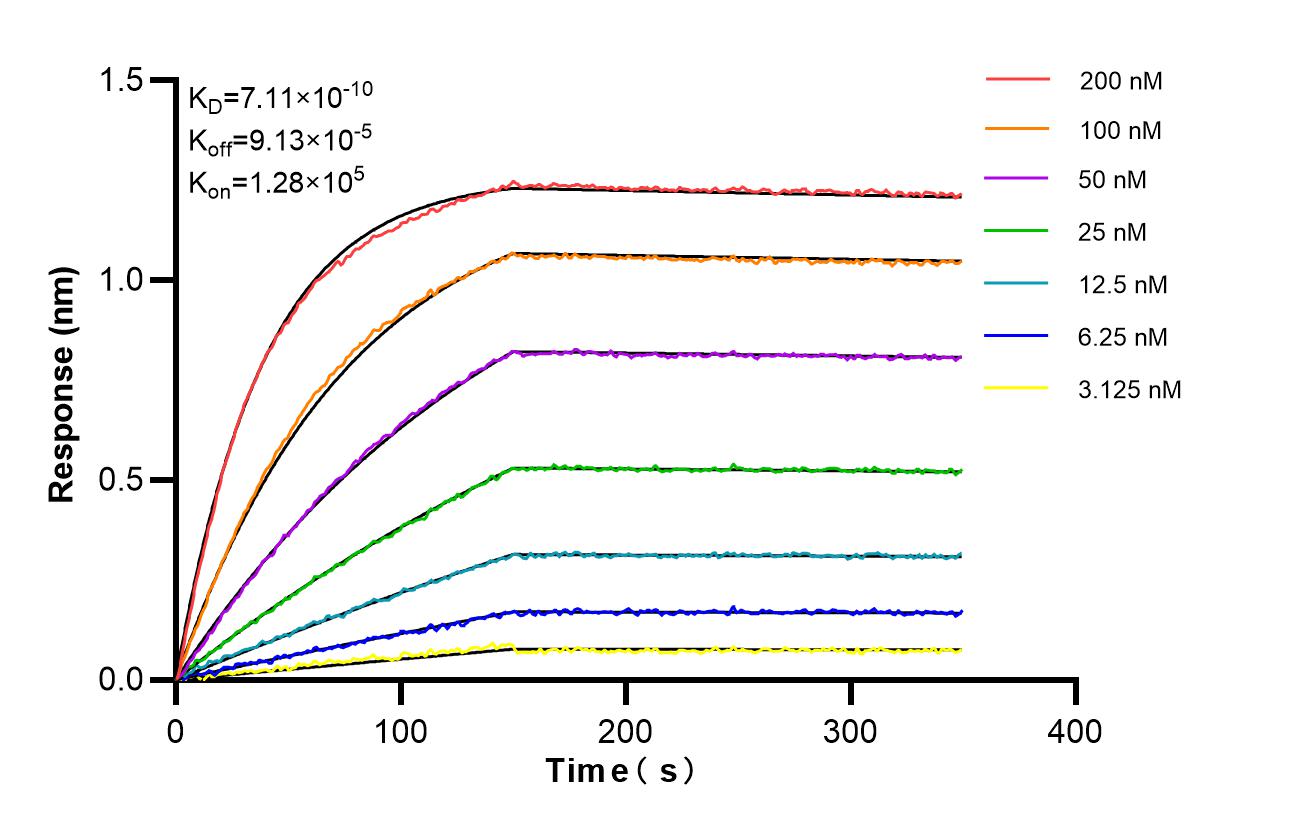 Affinity and Kinetic Characterization of 86224-2-RR Affinity and Kinetic Characterization of 86224-2-RR