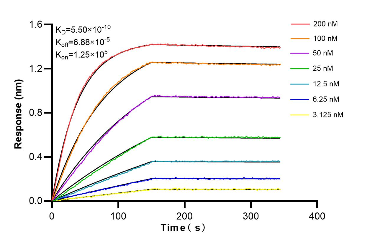 Affinity and Kinetic Characterization of 86227-3-RR