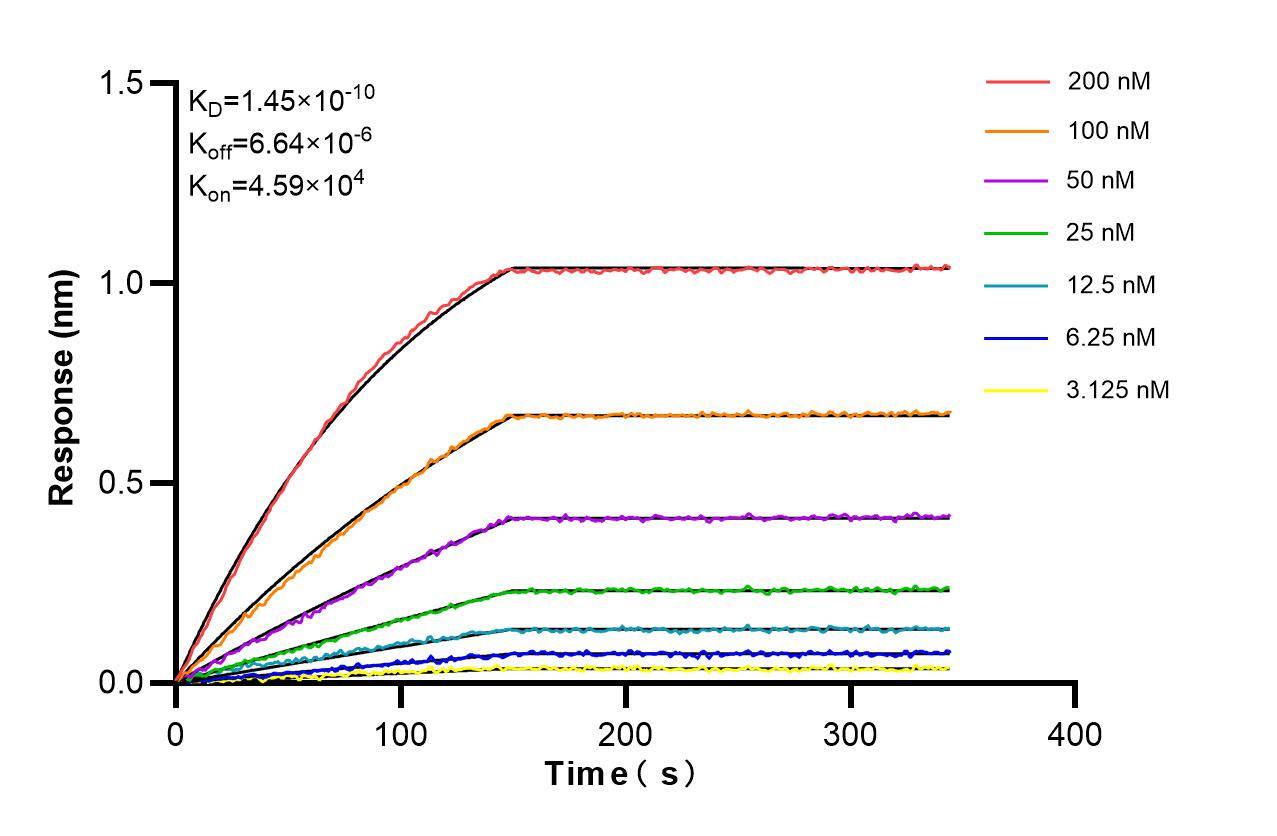 Affinity and Kinetic Characterization of 86227-4-RR