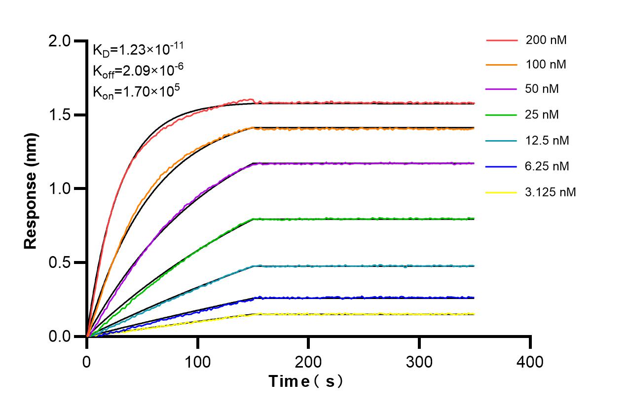 Affinity and Kinetic Characterization of 86233-5-RR