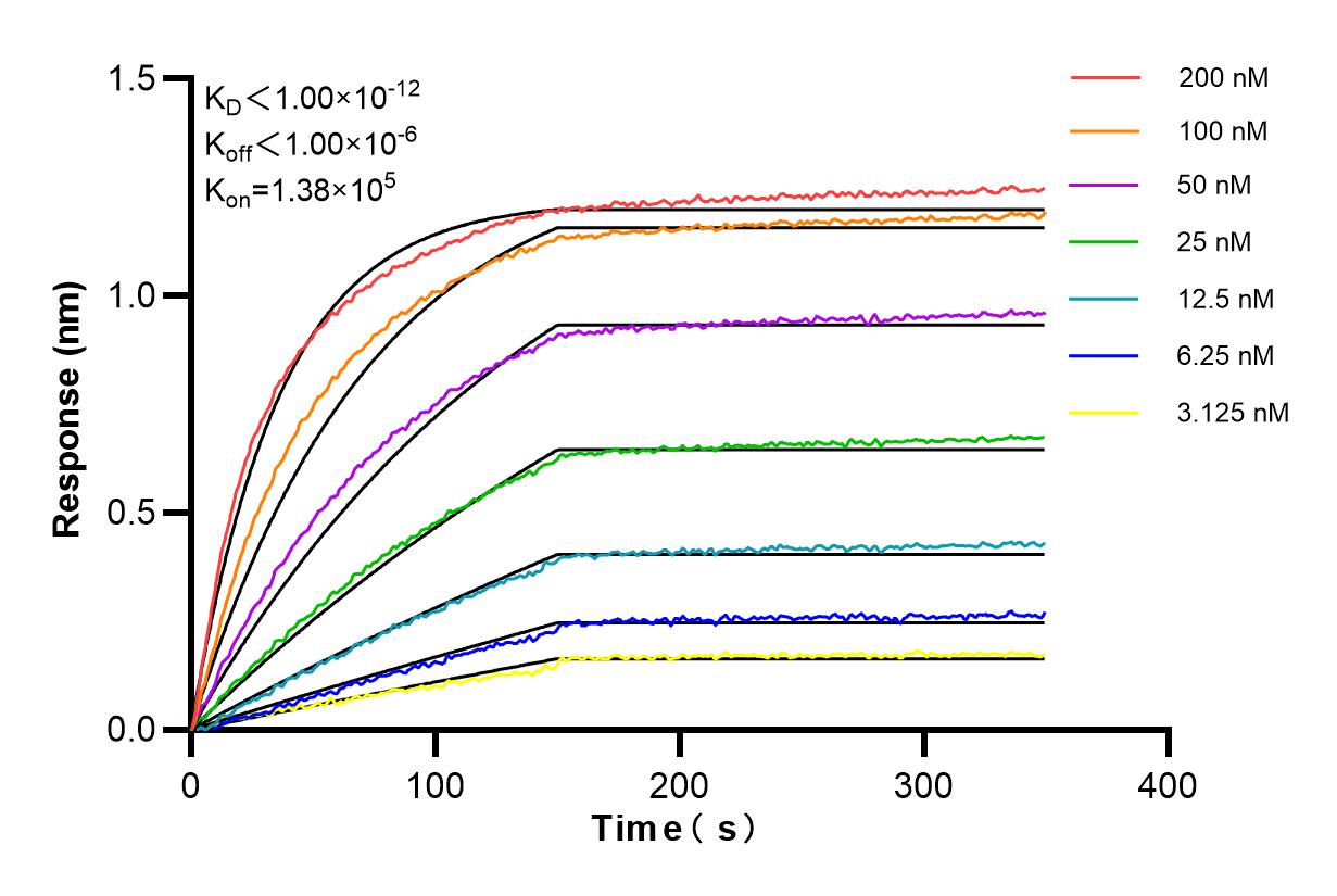 Affinity and Kinetic Characterization of 86257-3-RR