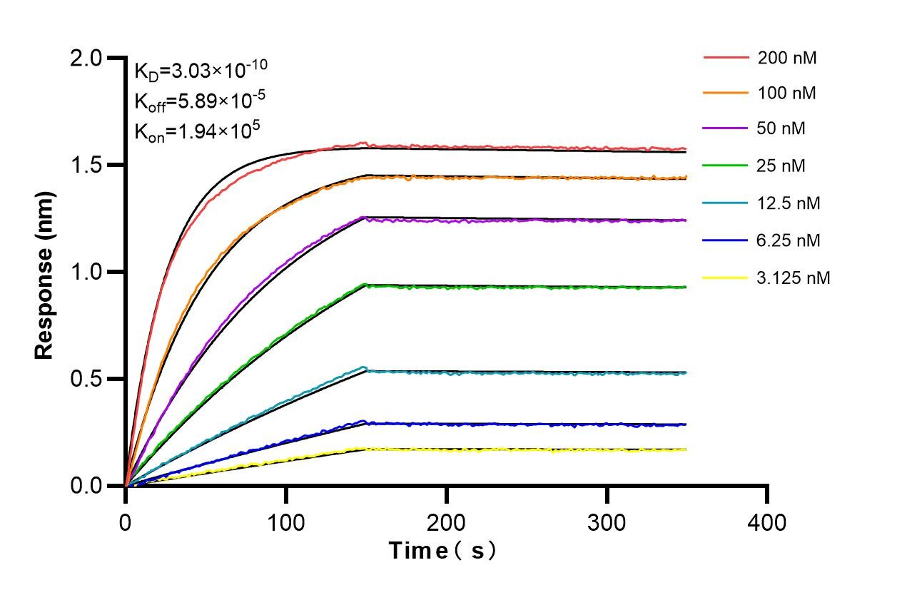 Affinity and Kinetic Characterization of 86258-4-PBS