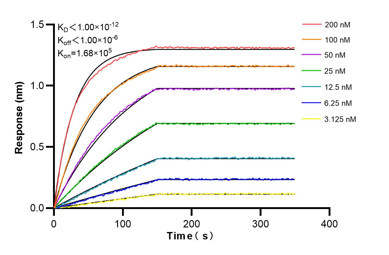 Affinity and Kinetic Characterization of 86258-5-RR