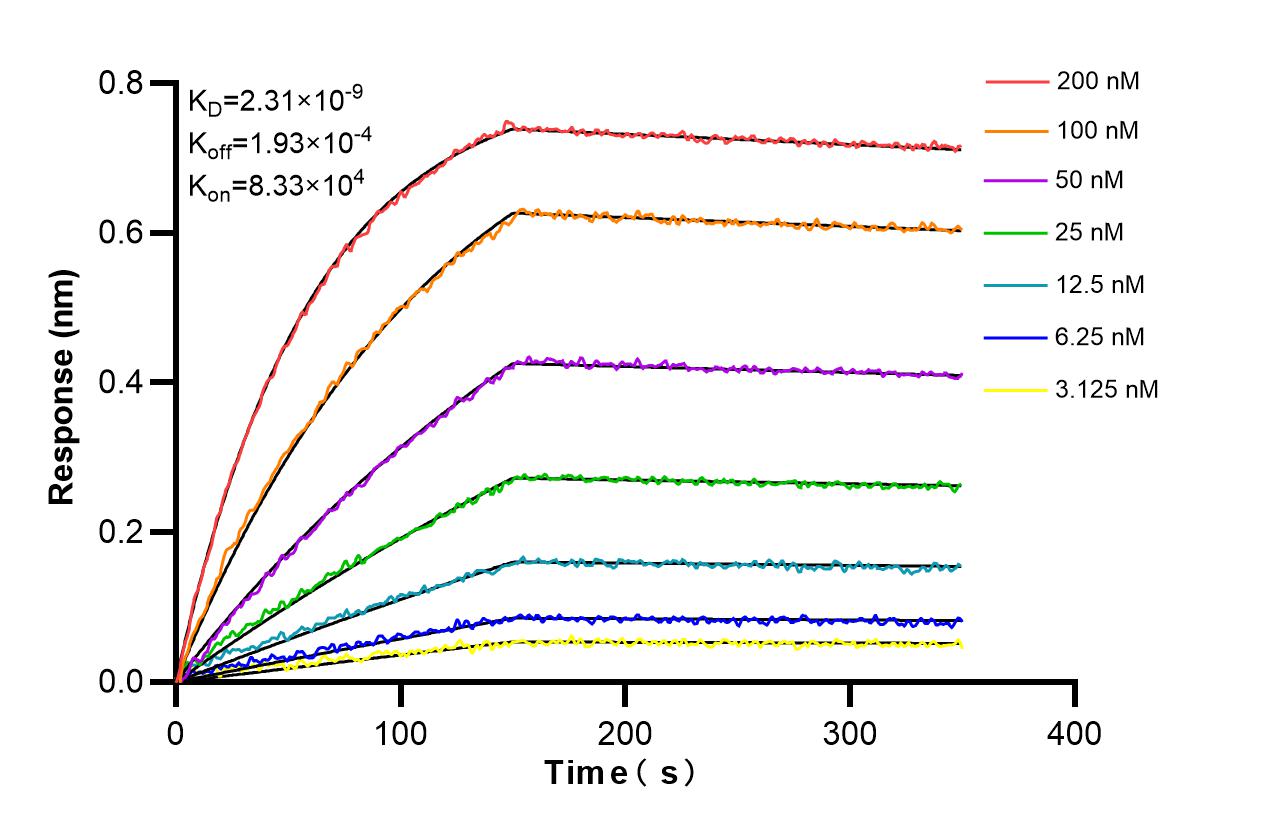 Affinity and Kinetic Characterization of 86260-4-RR