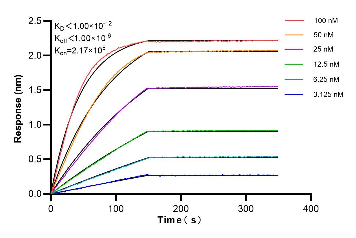 Affinity and Kinetic Characterization of 86268-3-RR
