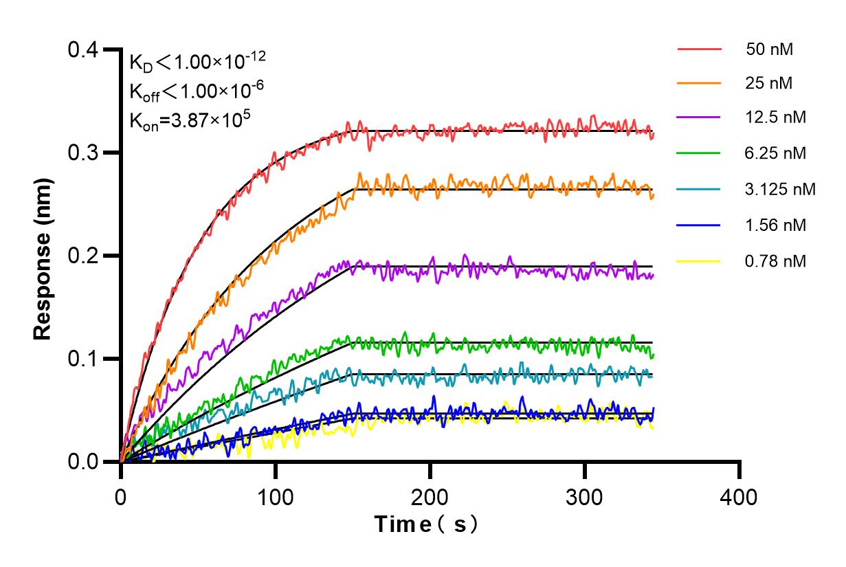 Affinity and Kinetic Characterization of 86269-1-PBS