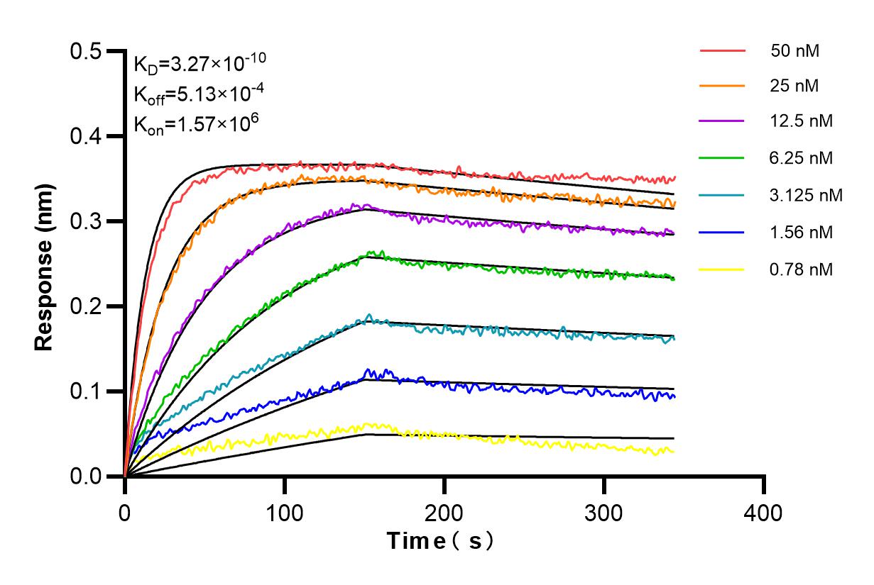 Affinity and Kinetic Characterization of 86269-2-PBS