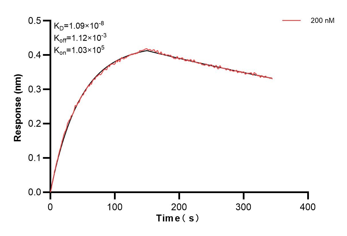 Affinity and Kinetic Characterization of 86269-5-PBS