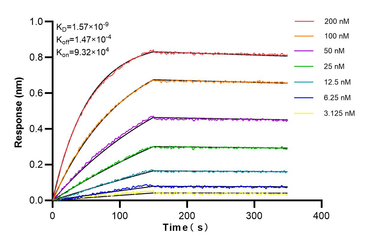 Affinity and Kinetic Characterization of 86274-1-RR