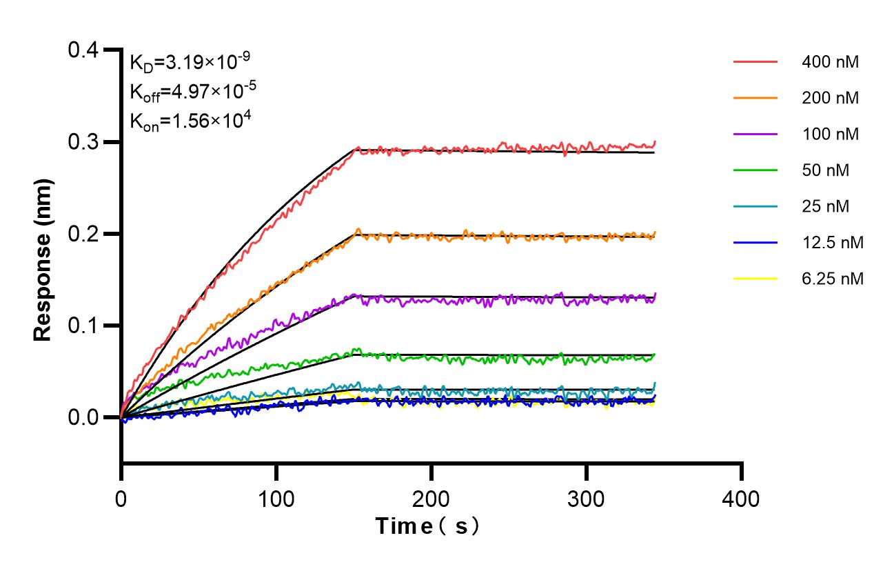 Affinity and Kinetic Characterization of 86276-1-RR