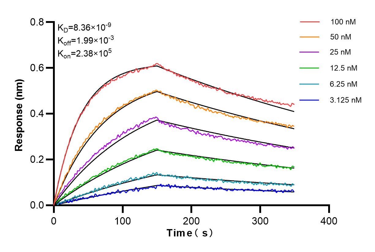 Affinity and Kinetic Characterization of 86283-1-RR