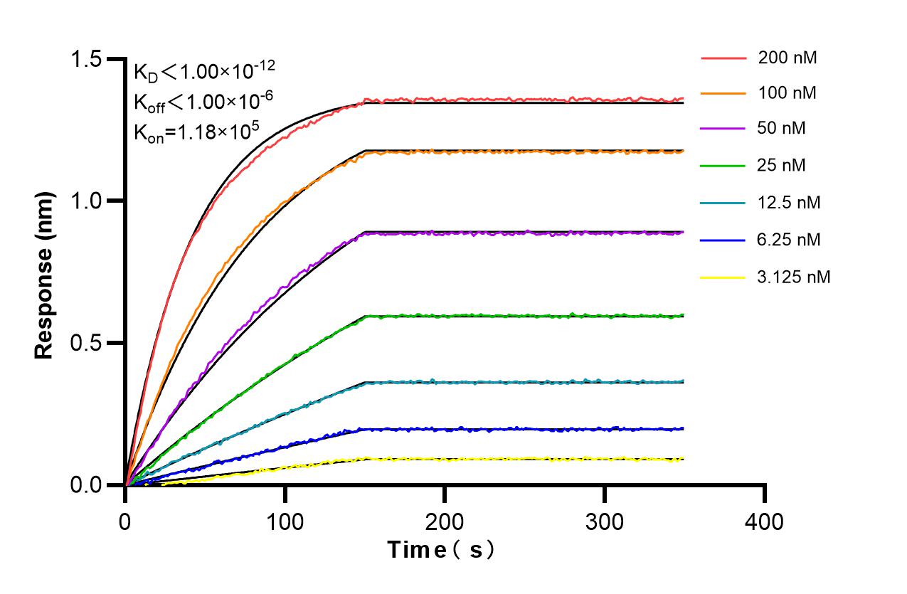 Affinity and Kinetic Characterization of 86285-3-PBS