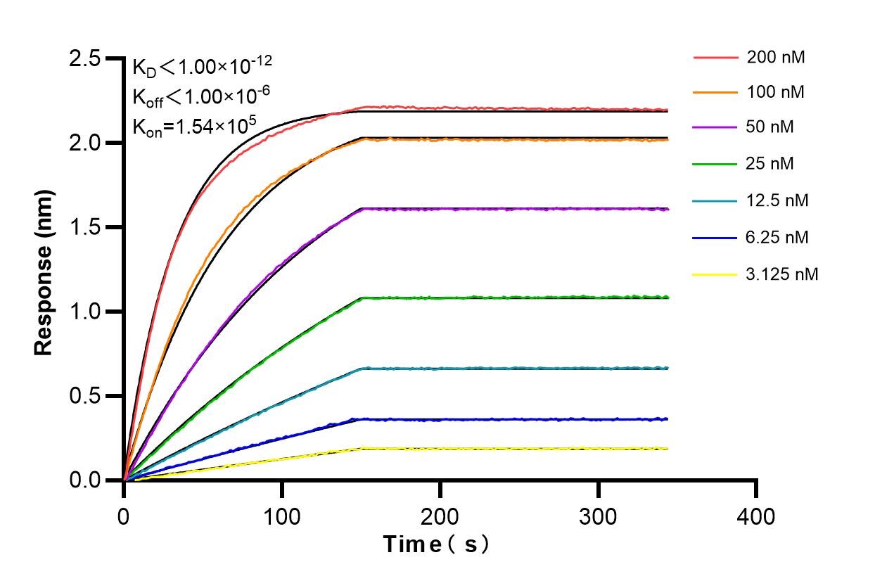 Affinity and Kinetic Characterization of 86297-1-RR