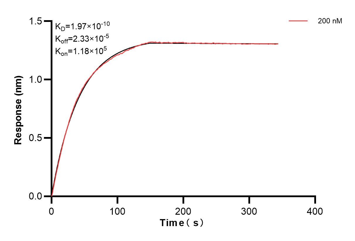 Affinity of 86316-3-PBS