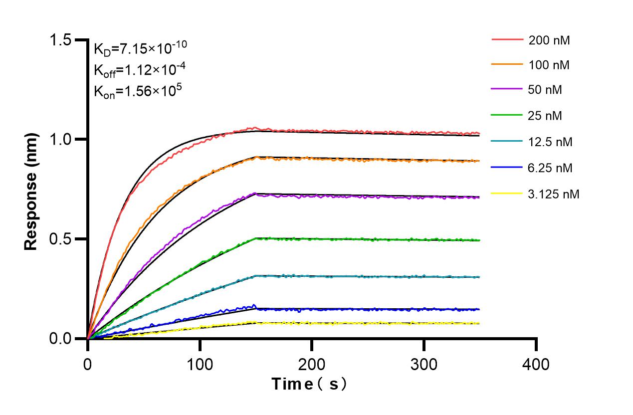Affinity and Kinetic Characterization of 86321-1-RR