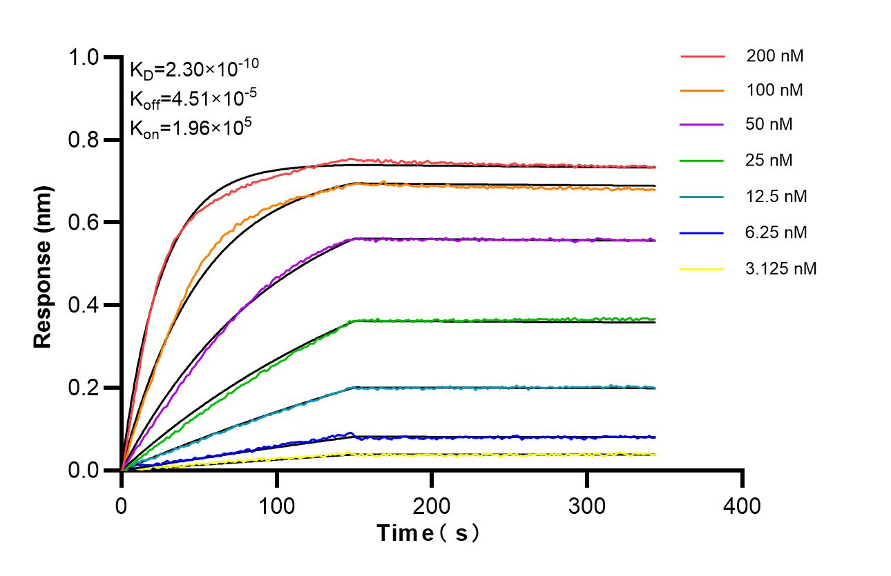 Affinity of 86339-3-RR