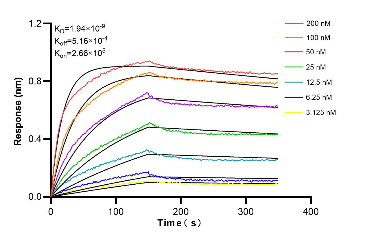 Affinity and Kinetic Characterization of 86340-2-RR