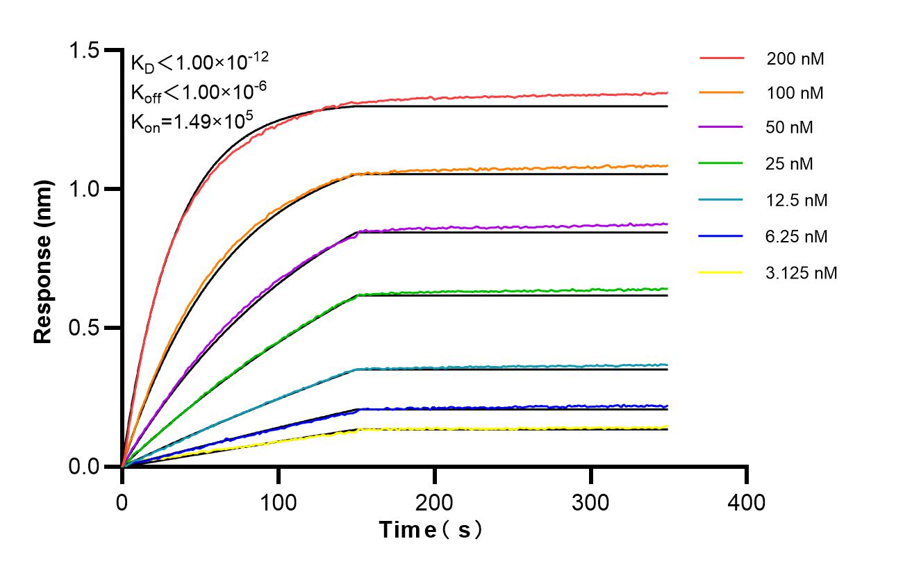 Affinity and Kinetic Characterization of 86341-3-RR