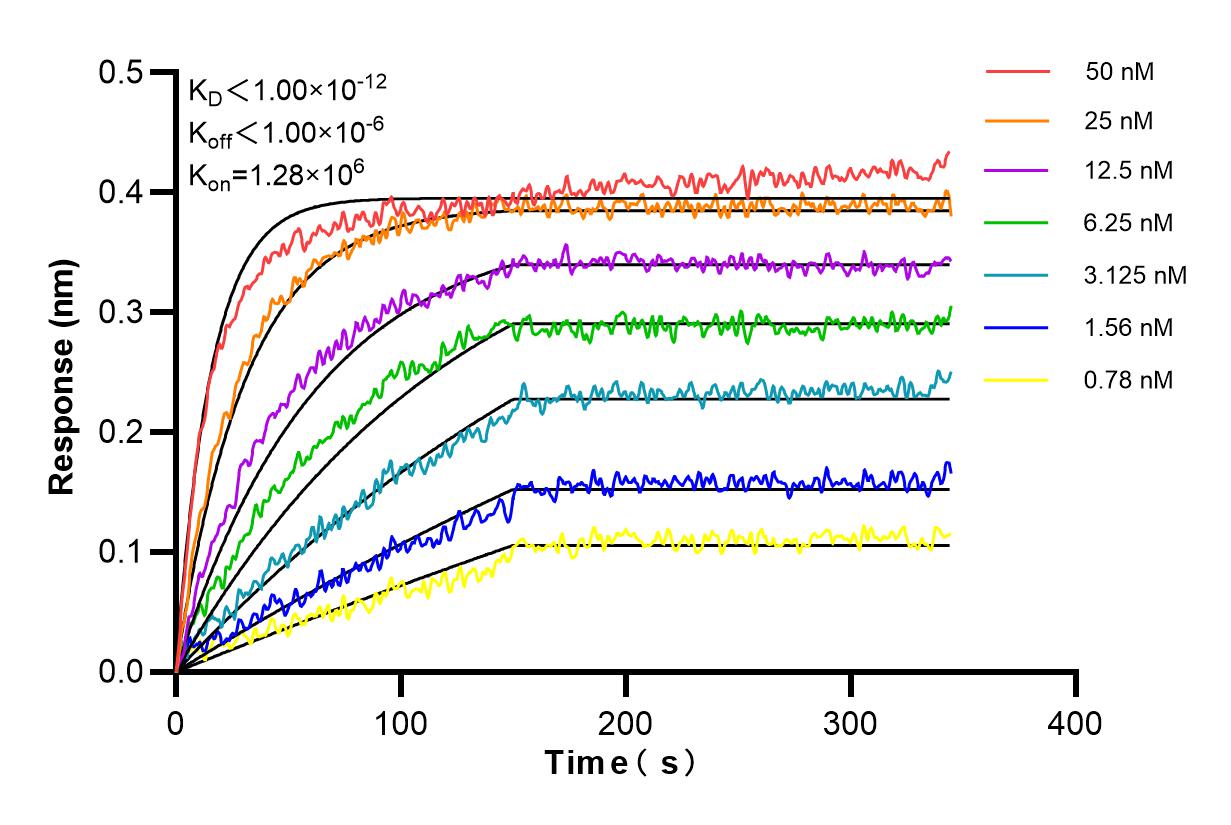 Affinity and Kinetic Characterization of 86342-1-PBS