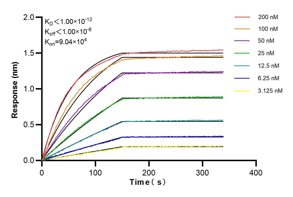 Affinity and Kinetic Characterization of 86342-2-PBS