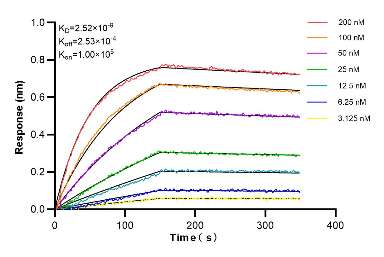 Affinity and Kinetic Characterization of 86344-3-RR