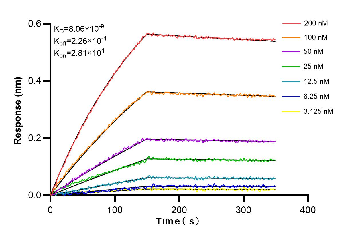 Affinity and Kinetic Characterization of 86345-2-RR