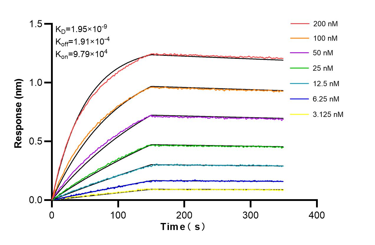 Affinity and Kinetic Characterization of 86346-3-RR