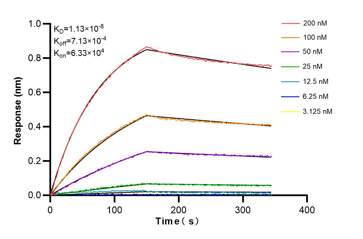 Affinity and Kinetic Characterization of 86348-3-RR