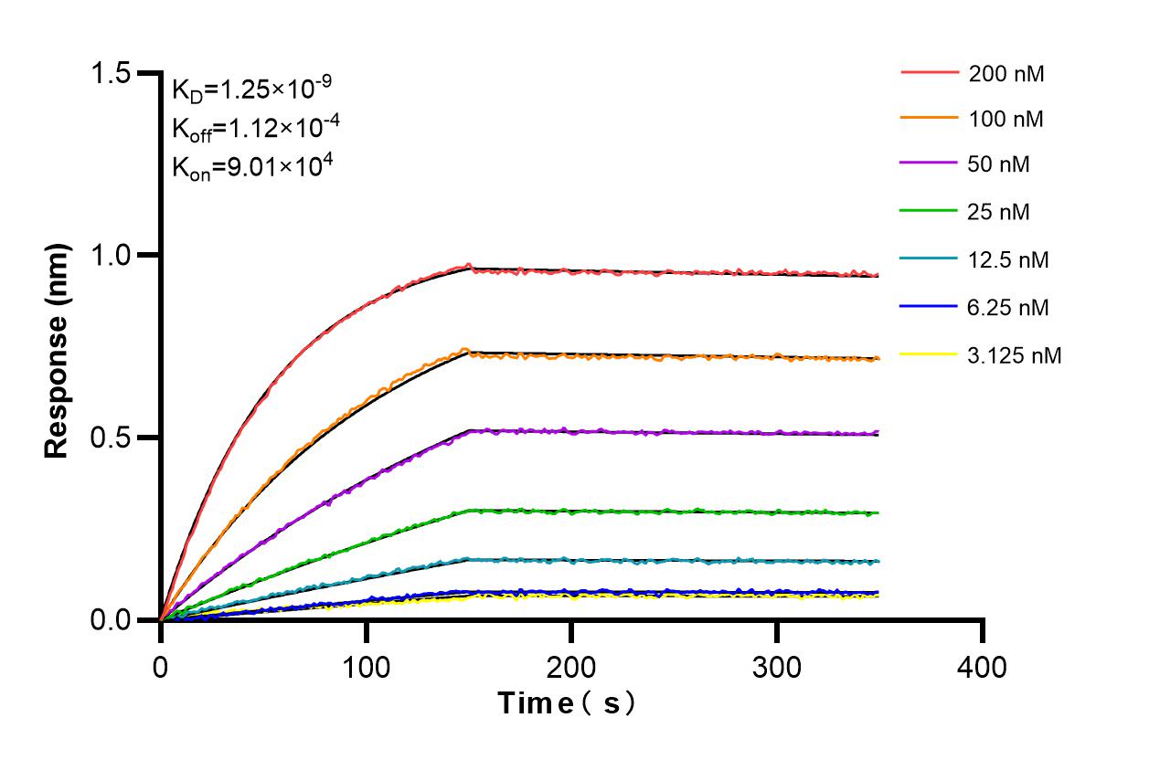 Affinity and Kinetic Characterization of 86351-1-RR