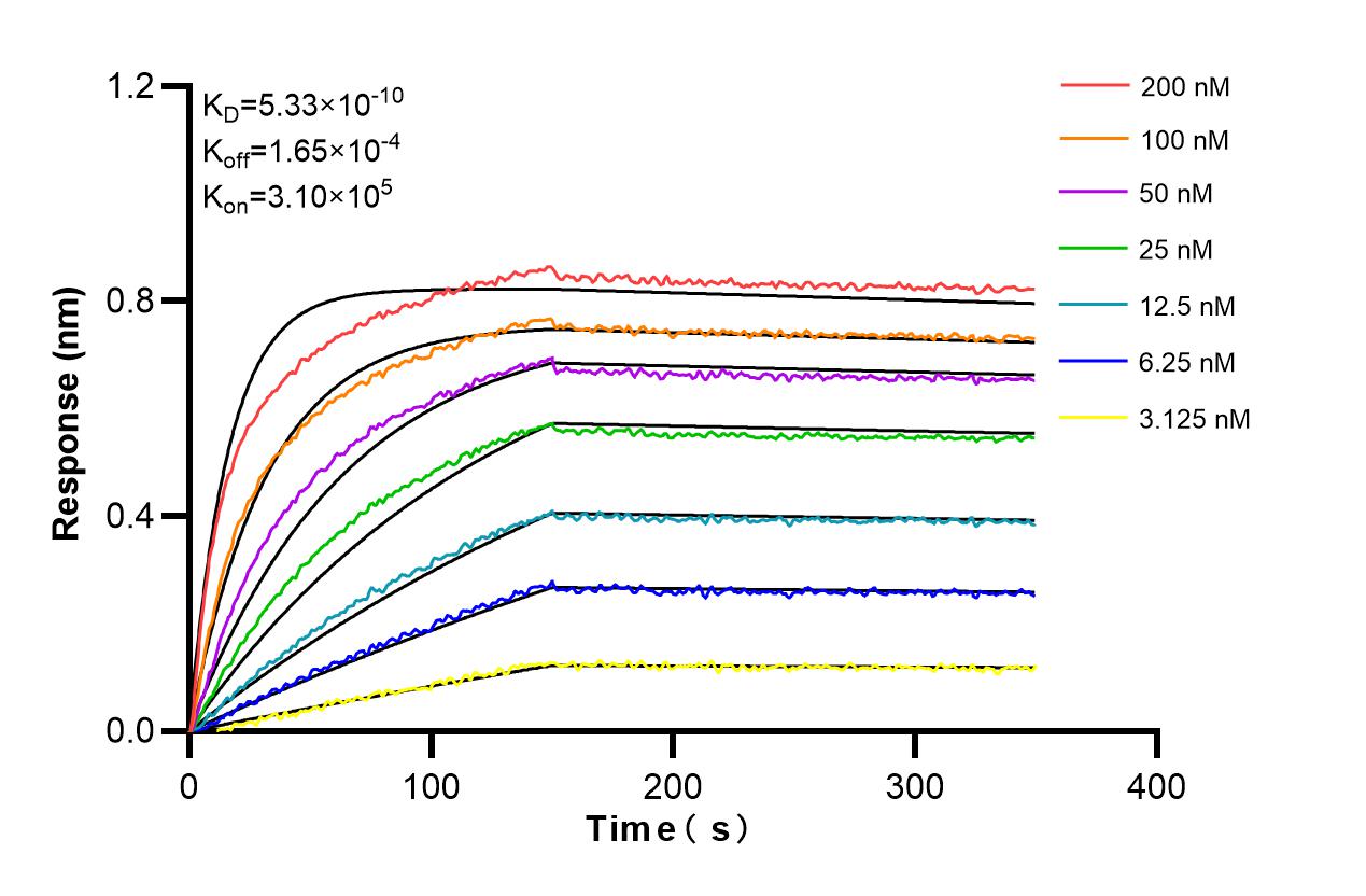 Affinity and Kinetic Characterization of 86359-3-RR