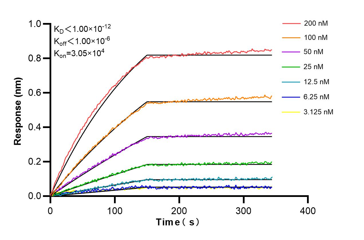 Affinity and Kinetic Characterization of 86360-2-RR