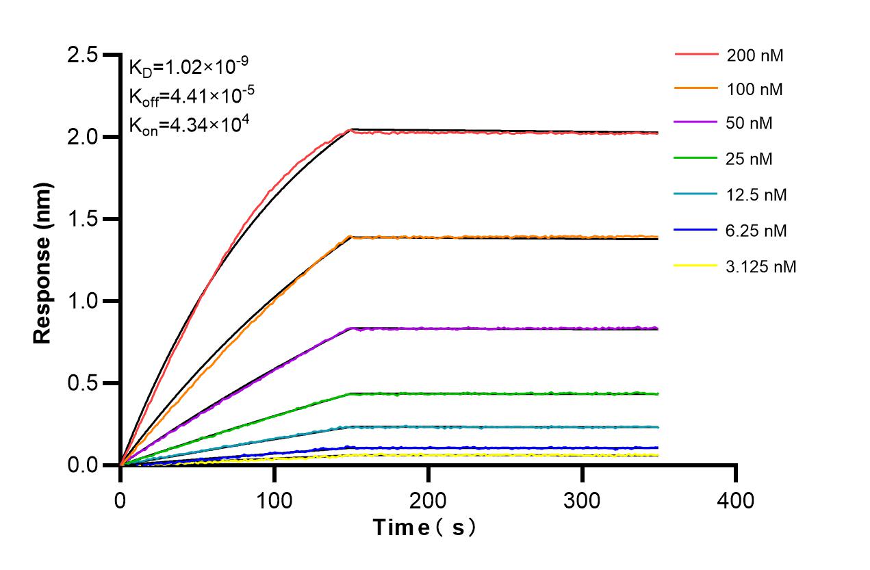 Affinity and Kinetic Characterization of 86361-2-RR