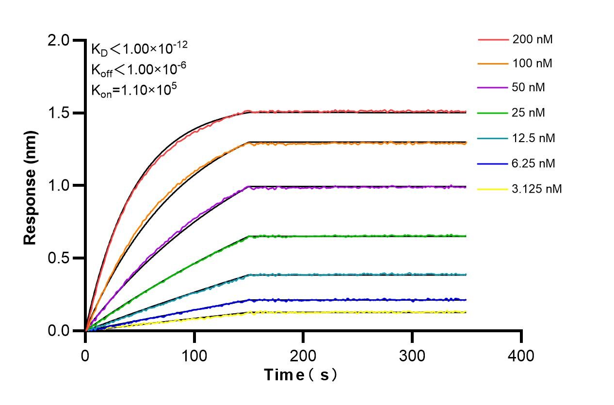 Affinity and Kinetic Characterization of 86362-2-RR