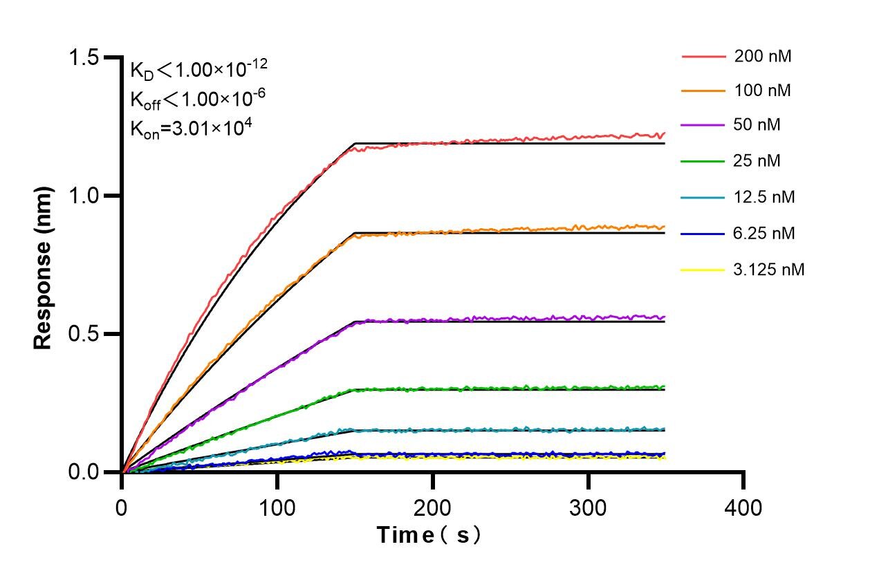Affinity and Kinetic Characterization of 86372-1-RR