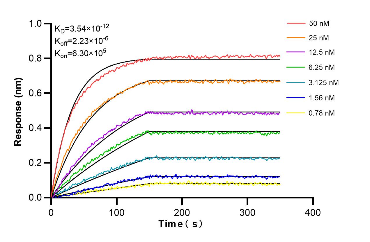 Affinity and Kinetic Characterization of 86387-3-PBS