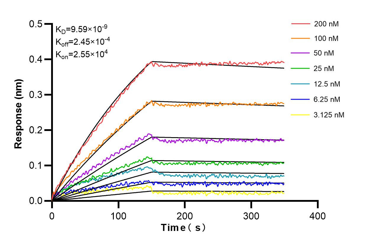 Affinity and Kinetic Characterization of 86415-1-RR