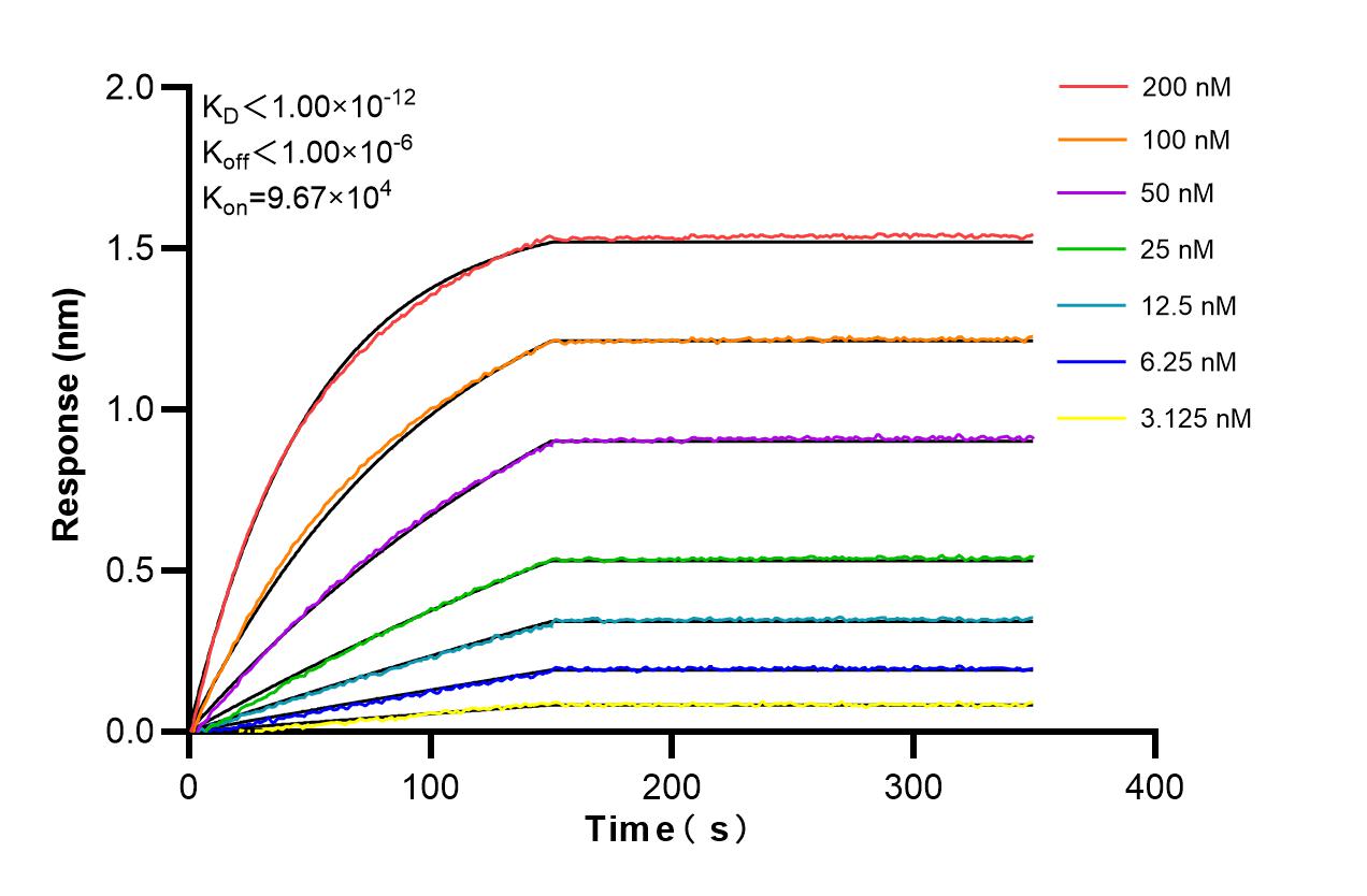 Affinity and Kinetic Characterization of 86424-2-RR