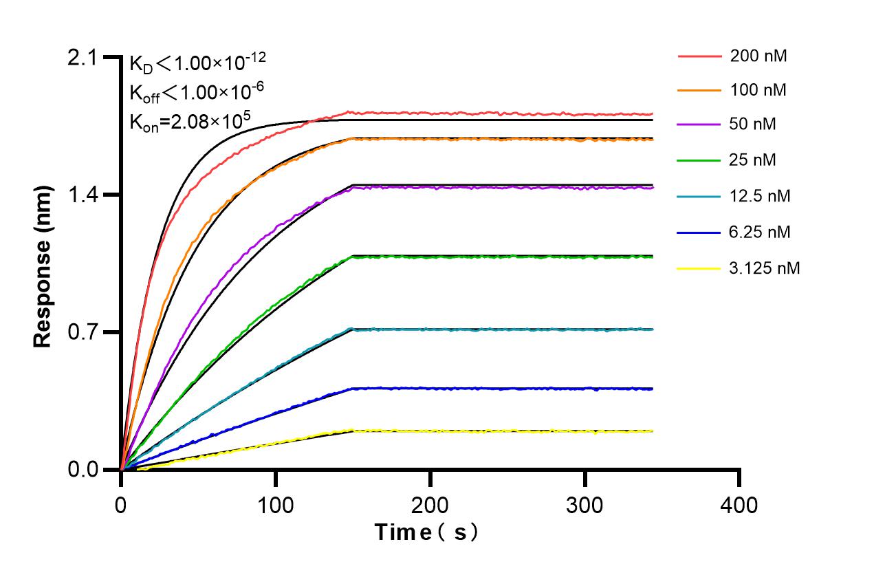 Affinity and Kinetic Characterization of 86430-1-RR