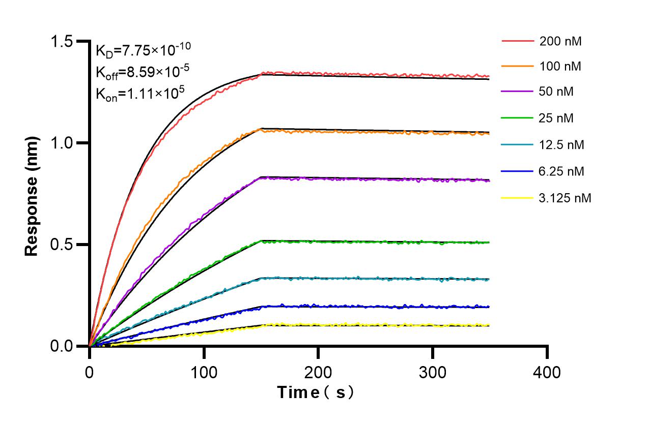 Biolayer interferometry (BLl) kinetic assays of 86431-1-RR against Human FDXR were performed. The affinity constant is 77.5 pM. Affinity and Kinetic Characterization of 86431-1-RR