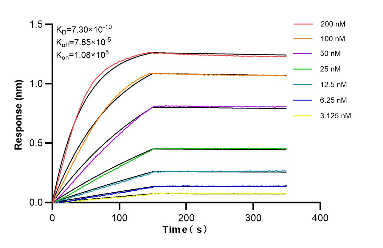 Affinity of 86440-1-RR