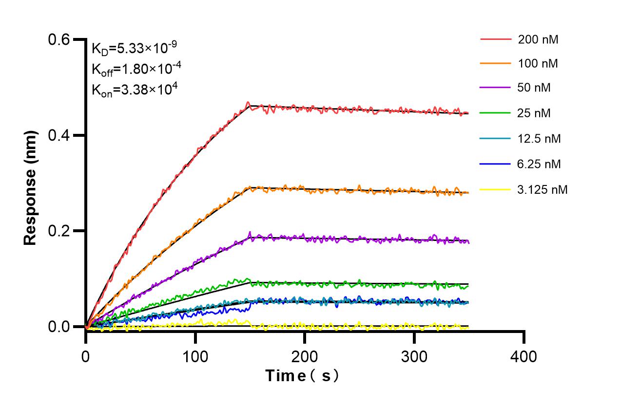 Affinity and Kinetic Characterization of 86450-3-RR