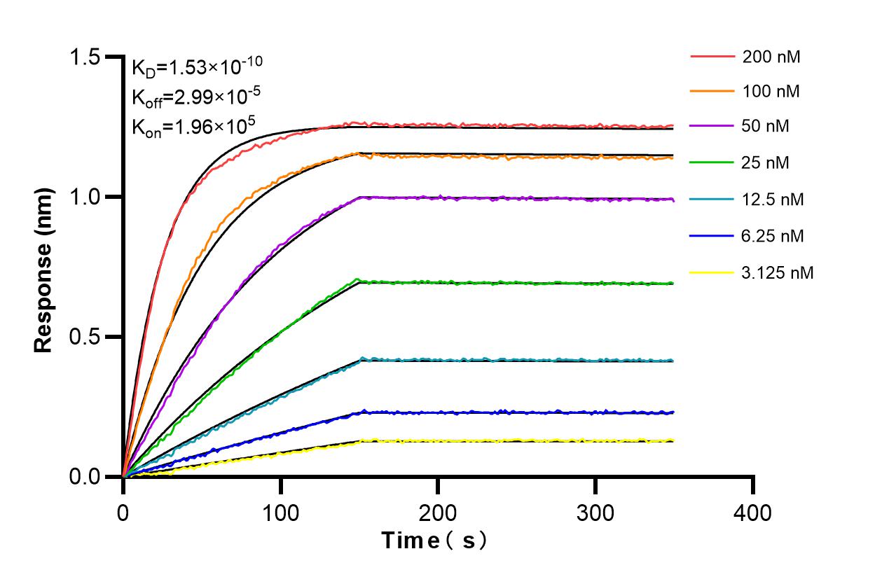 Biolayer interferometry (BLl) kinetic assays of 86459-2-RR against Human ODF2 were performed. The affinity constant is 0.153 nM. Affinity and Kinetic Characterization of 86459-2-RR