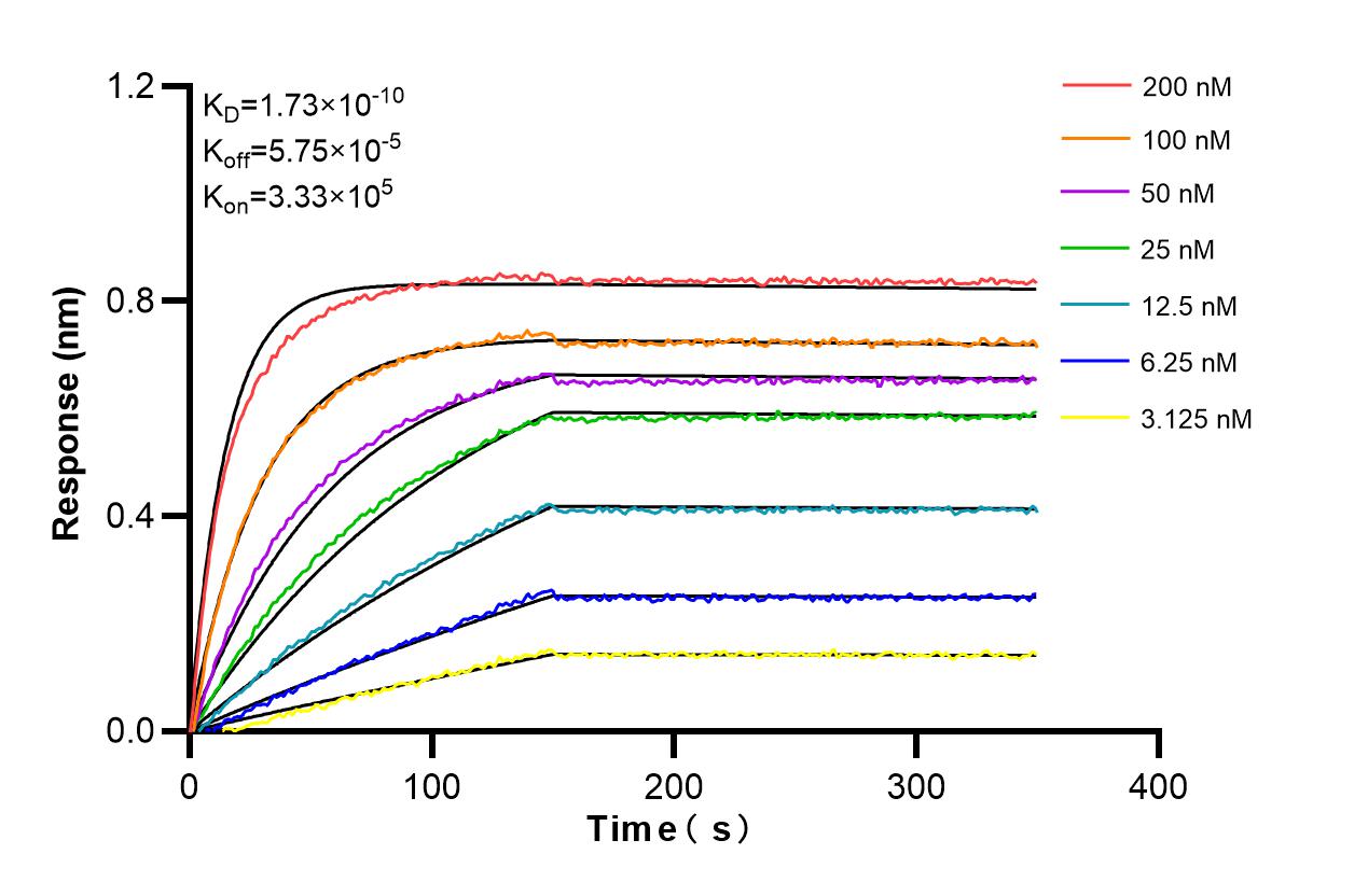 Affinity and Kinetic Characterization of 86462-1-RR
