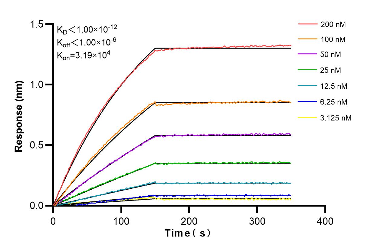 Affinity and Kinetic Characterization of 86472-3-RR
