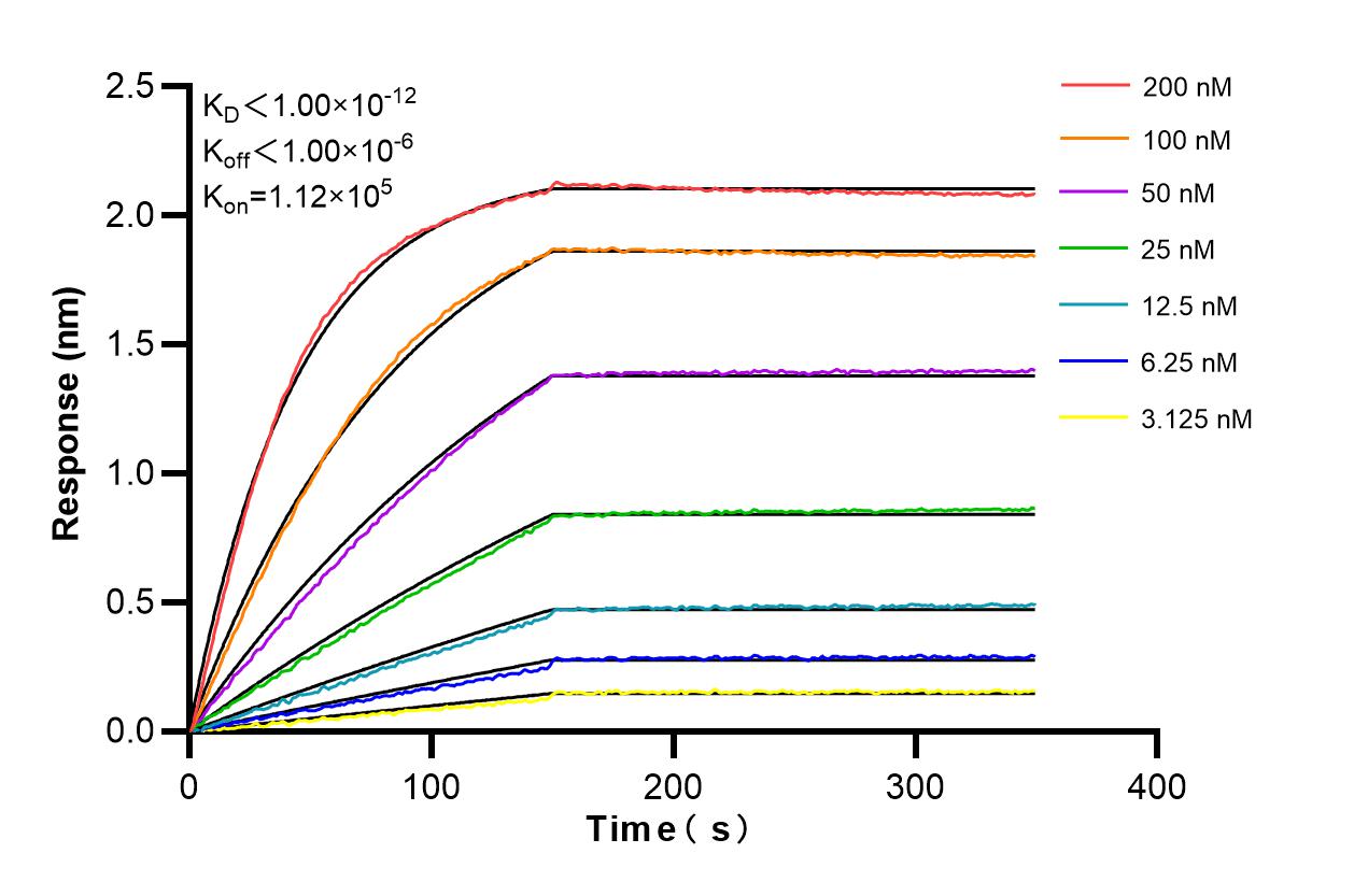 Affinity and Kinetic Characterization of 86475-1-RR