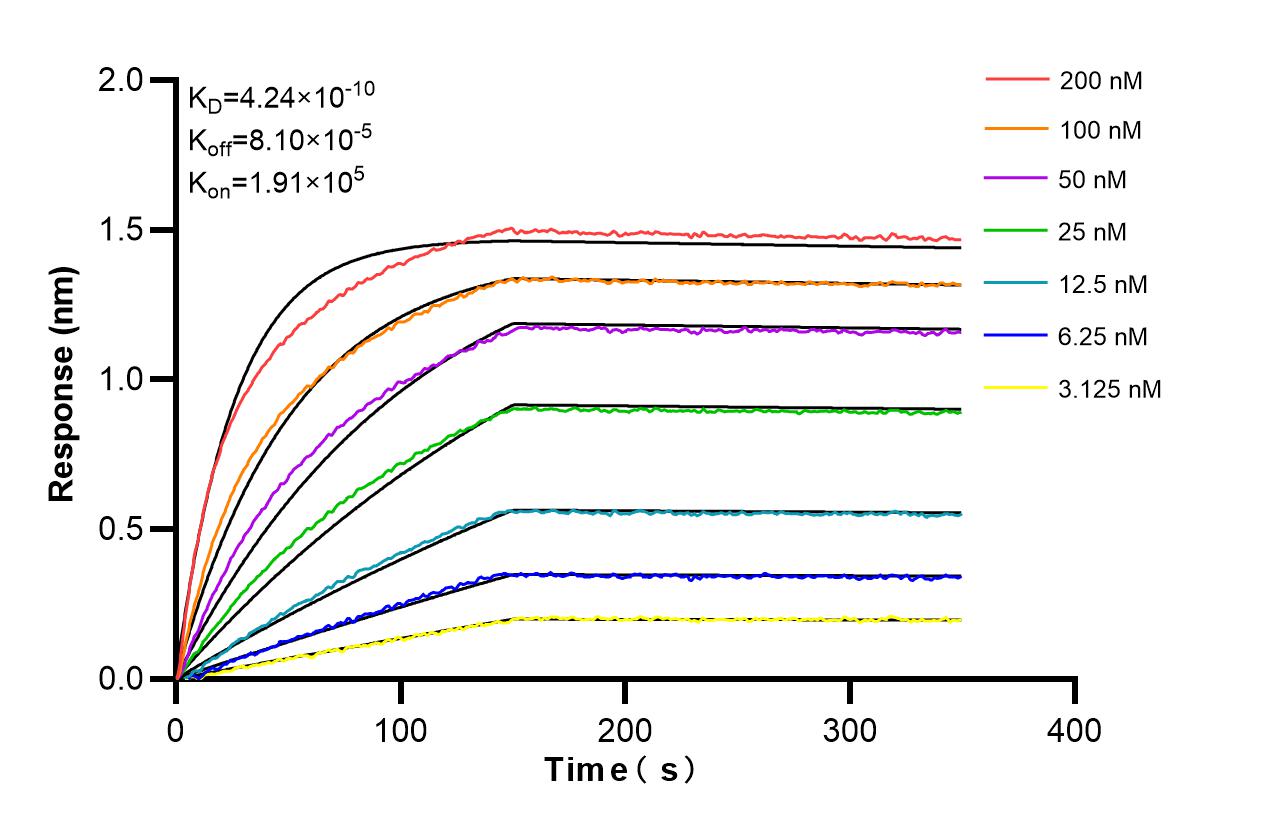Affinity and Kinetic Characterization of 86496-1-RR